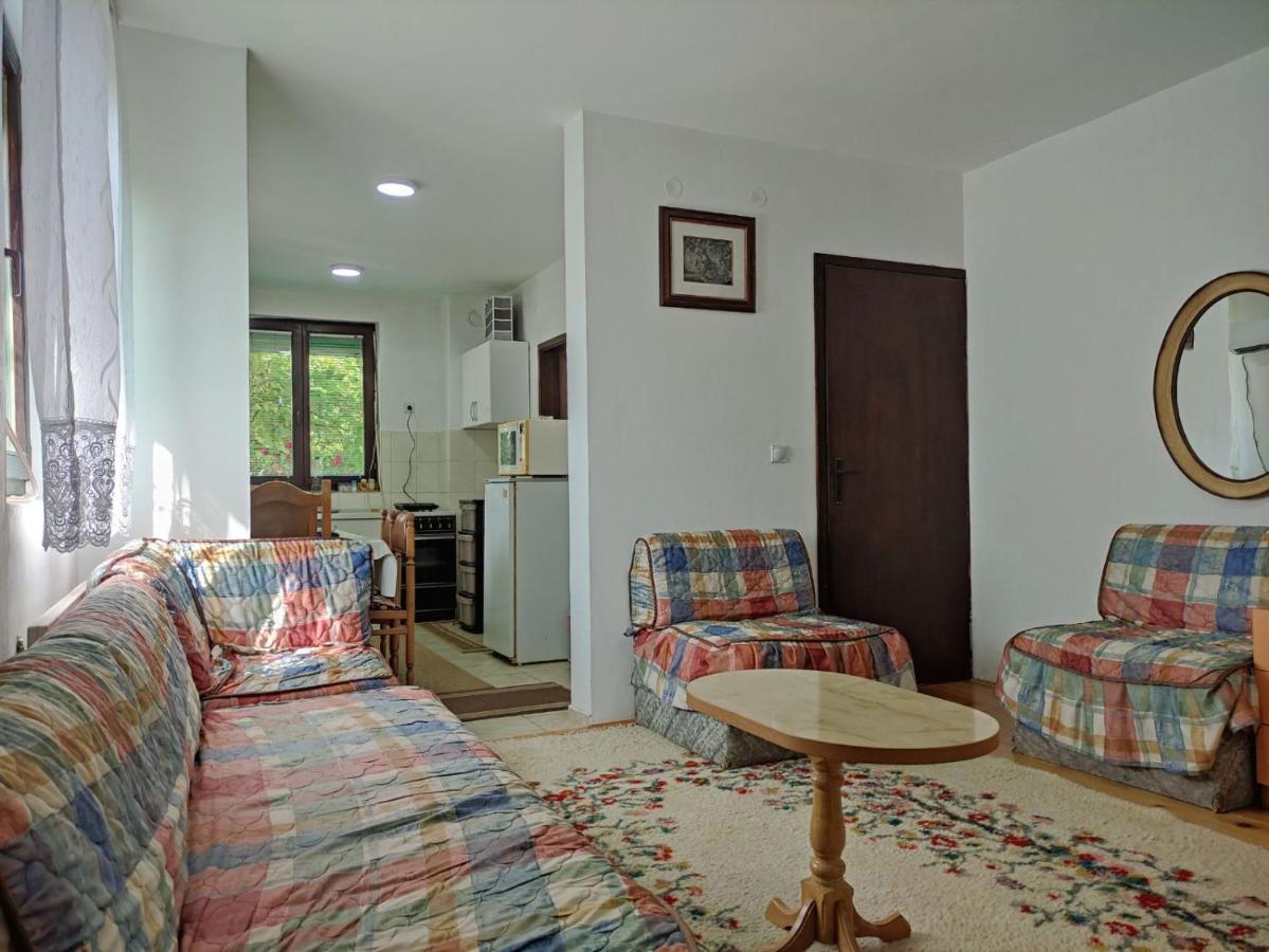 Villa Cozy House Cvetkovic à Ni Extérieur photo
