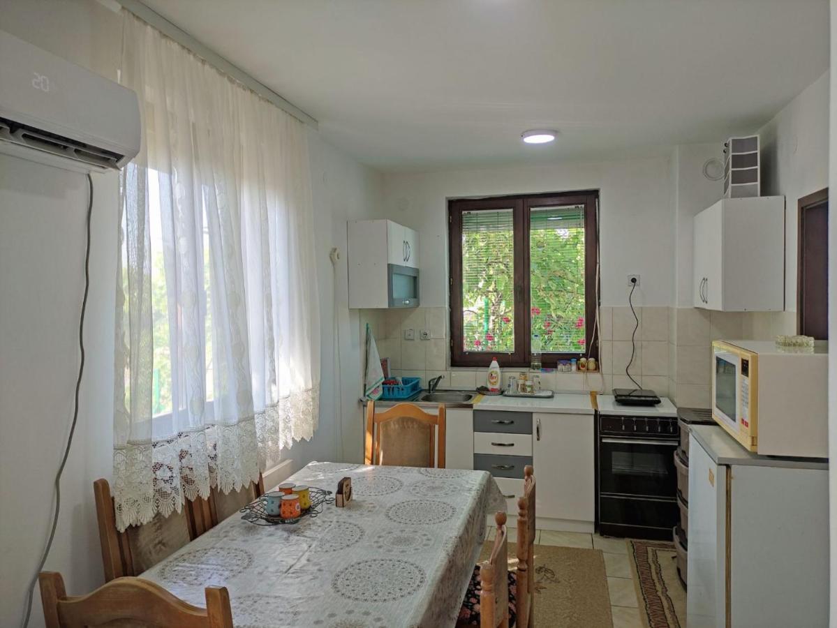 Villa Cozy House Cvetkovic à Ni Extérieur photo